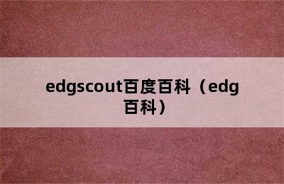 edgscout百度百科（edg 百科）